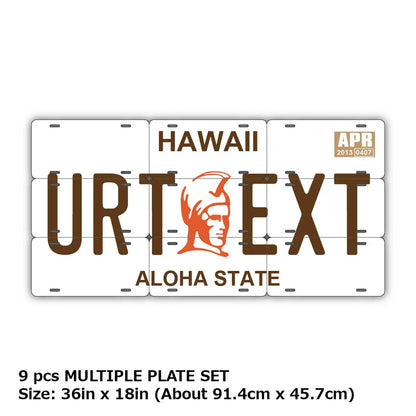 【マルチプレート】ハワイ・カメハメハ大王/オリジナルアメリカナンバープレート PL8HERO