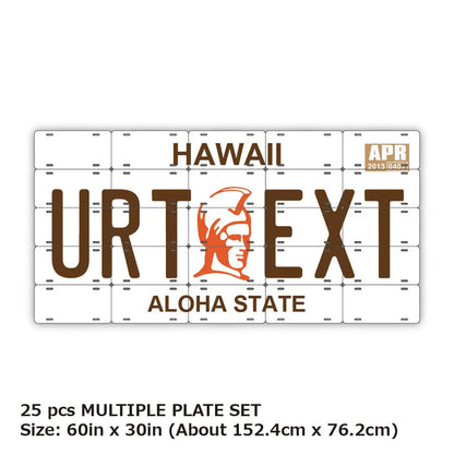 【マルチプレート】ハワイ・カメハメハ大王/オリジナルアメリカナンバープレート PL8HERO