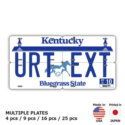 【マルチプレート】ケンタッキー/オリジナルアメリカナンバープレート PL8HERO
