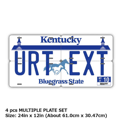 【マルチプレート】ケンタッキー/オリジナルアメリカナンバープレート PL8HERO