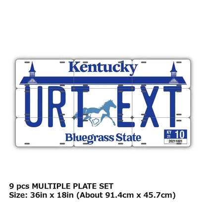 【マルチプレート】ケンタッキー/オリジナルアメリカナンバープレート PL8HERO