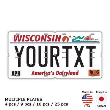 [Multi Plate] Wisconsin / Original American License Plate