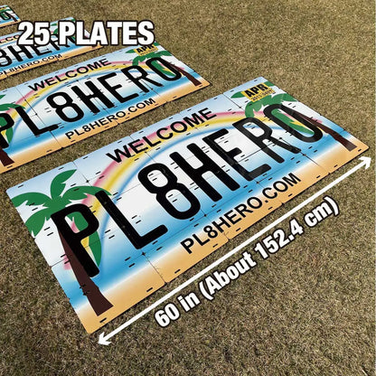 【マルチプレート】テキサス/オリジナルアメリカナンバープレート PL8HERO