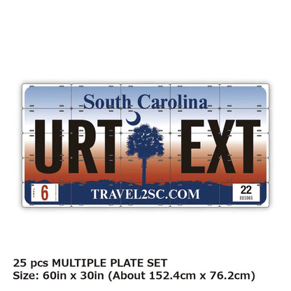 【マルチプレート】サウスカロライナ/オリジナルアメリカナンバープレート PL8HERO