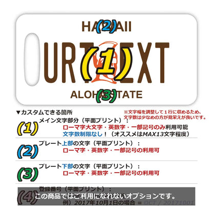【ラゲッジタグ】ハワイ・カメハメハ大王/オリジナルアメリカナンバープレート型・おしゃれ ・紛失防止タグ PL8HERO