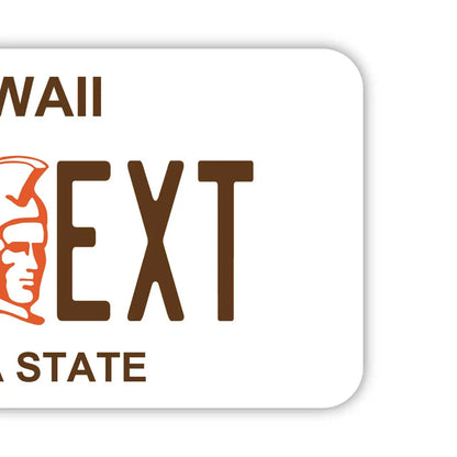 【ラゲッジタグ】ハワイ・カメハメハ大王/オリジナルアメリカナンバープレート型・おしゃれ ・紛失防止タグ PL8HERO