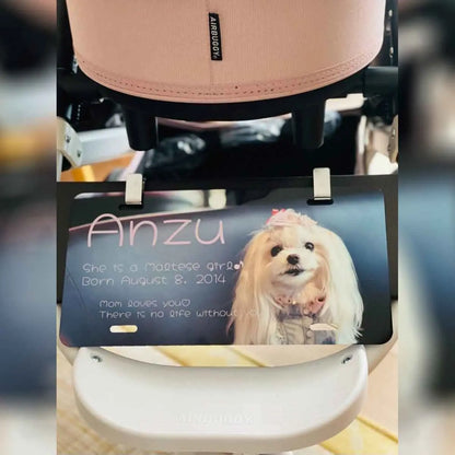 【自由にデザイン】フルカスタムナンバープレート(大・US車用)フラットプレート PL8HERO