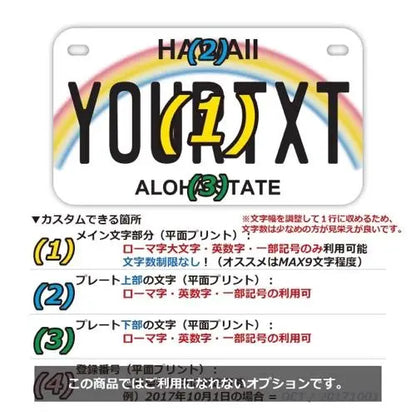 【中・USバイク用】ハワイ・レインボー/オリジナルアメリカナンバープレート PL8HERO