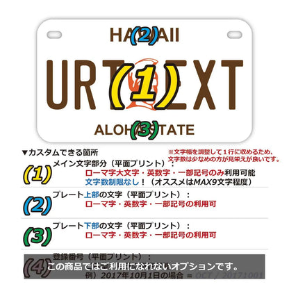 【中・USバイク用】ハワイ・カメハメハ大王/オリジナルアメリカナンバープレート PL8HERO
