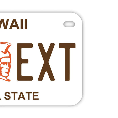 【中・USバイク用】ハワイ・カメハメハ大王/オリジナルアメリカナンバープレート PL8HERO