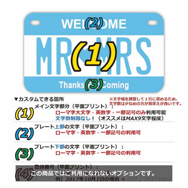 定制车牌标志【适用于美国和中东摩托车】颜色：蓝色 / 原装美国车牌