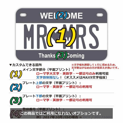 【中・USバイク用】カラー・グレー/オリジナルアメリカナンバープレート PL8HERO