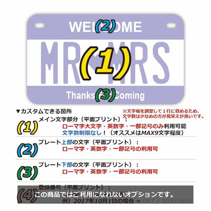 【中・USバイク用】カラー・パープル/オリジナルアメリカナンバープレート PL8HERO