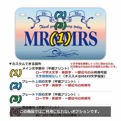 【中・USバイク用】サンライズ/オリジナルアメリカナンバープレート PL8HERO