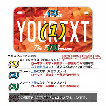 定制车牌标志【适用于美国摩托车】秋叶/红色/原装美国车牌