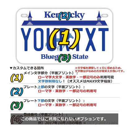 【中・USバイク用】ケンタッキー/オリジナルアメリカナンバープレート PL8HERO