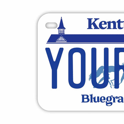 【中・USバイク用】ケンタッキー/オリジナルアメリカナンバープレート PL8HERO