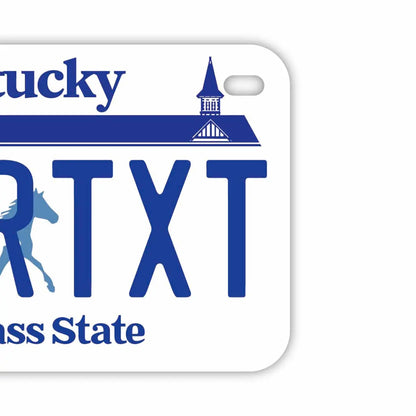 【中・USバイク用】ケンタッキー/オリジナルアメリカナンバープレート PL8HERO