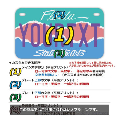 【中・USバイク用】フロリダ・アート/オリジナルアメリカナンバープレート PL8HERO