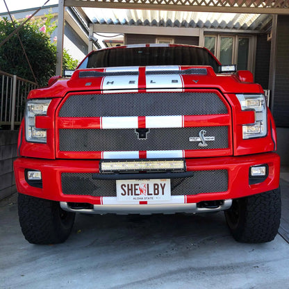 【大・US車用】ハワイ・カメハメハ大王/オリジナルアメリカエンボスナンバープレート おしゃれ表札看板 PL8HERO