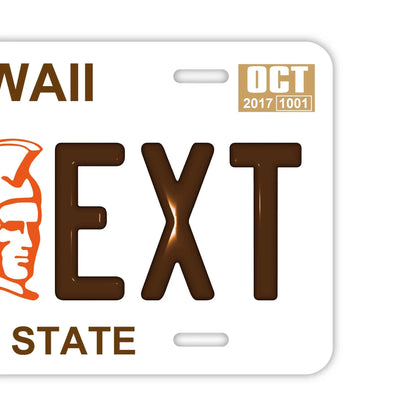 【大・US車用】ハワイ・カメハメハ大王/オリジナルアメリカエンボスナンバープレート おしゃれ表札看板 PL8HERO