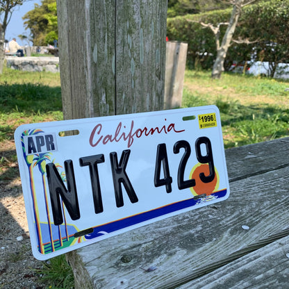 【大・US車用】カリフォルニア・ヤシの木/オリジナルアメリカエンボスナンバープレート おしゃれ表札看板 PL8HERO