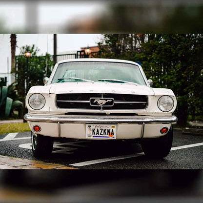 【大・US車用】カリフォルニア・ヤシの木/オリジナルアメリカエンボスナンバープレート おしゃれ表札看板 PL8HERO