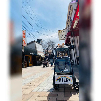 【大・US車用】ハワイ・レインボー/オリジナルアメリカエンボスナンバープレート おしゃれ表札看板 PL8HERO