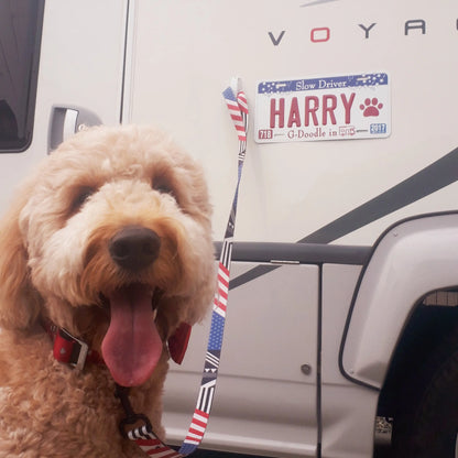 【大・US車用】アラバマ/オリジナルアメリカエンボスナンバープレート おしゃれ表札看板 PL8HERO