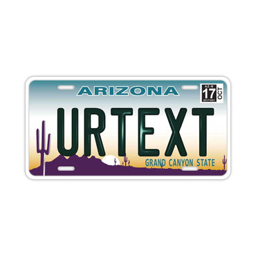 [Large/US Car] Arizona/Original America Embossed License Plate Fashionable Nameplate Sign