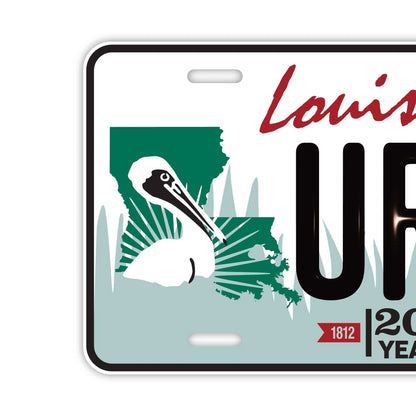【大・US車用】ルイジアナ/オリジナルアメリカエンボスナンバープレート おしゃれ表札看板 PL8HERO