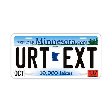 [Large/US Car] Minnesota/Original American Embossed License Plate Fashionable Nameplate Sign