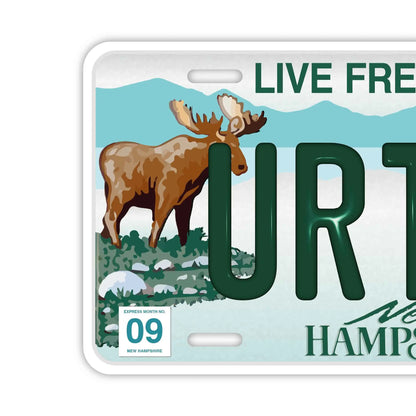 【大・US車用】ニューハンプシャー/オリジナルアメリカエンボスナンバープレート おしゃれ表札看板 PL8HERO