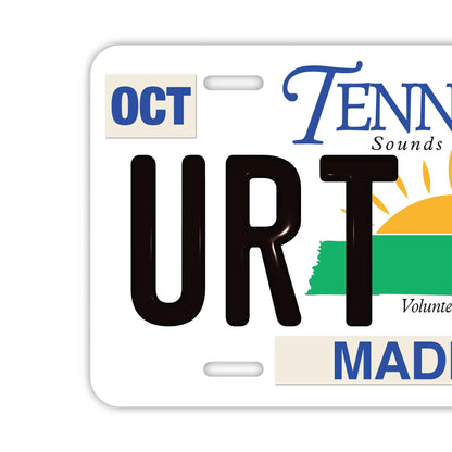 【大・US車用】テネシー/オリジナルアメリカエンボスナンバープレート おしゃれ表札看板 PL8HERO
