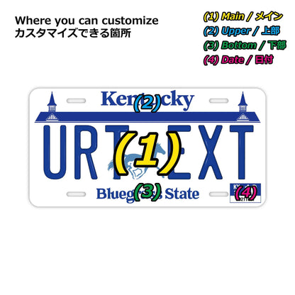 【大・US車用】ケンタッキー/オリジナルアメリカエンボスナンバープレート おしゃれ表札看板 PL8HERO