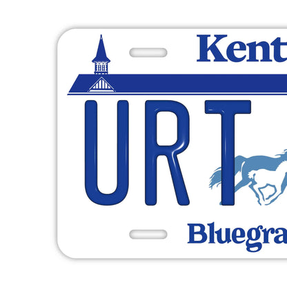 【大・US車用】ケンタッキー/オリジナルアメリカエンボスナンバープレート おしゃれ表札看板 PL8HERO