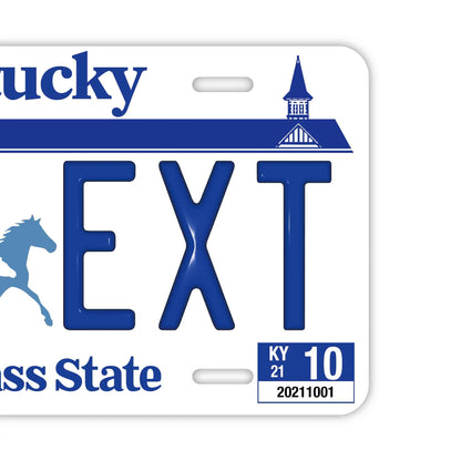 【大・US車用】ケンタッキー/オリジナルアメリカエンボスナンバープレート おしゃれ表札看板 PL8HERO
