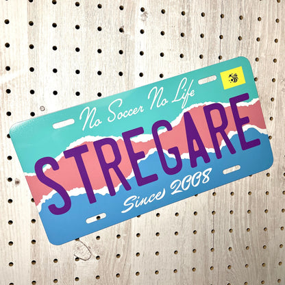 【大・US車用】フロリダ・アート/オリジナルアメリカエンボスナンバープレート おしゃれ表札看板 PL8HERO