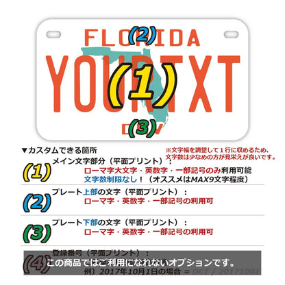 【中・USバイク用】フロリダ1980's/オリジナルアメリカナンバープレート PL8HERO
