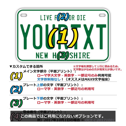 【中・USバイク用】ニューハンプシャー1980s/オリジナルアメリカナンバープレート PL8HERO