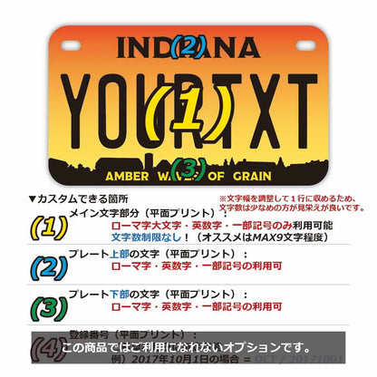 【中・USバイク用】インディアナ1993/オリジナルアメリカナンバープレート PL8HERO