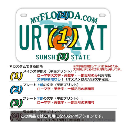 【中・USバイク用】フロリダ2000's/オリジナルアメリカナンバープレート PL8HERO