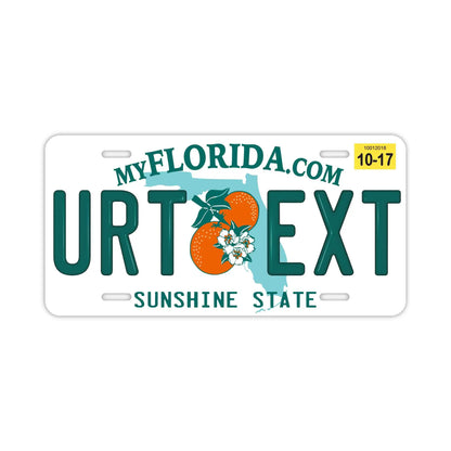 【大・US車用】フロリダ2000's/オリジナルアメリカエンボスナンバープレート おしゃれ表札看板 PL8HERO