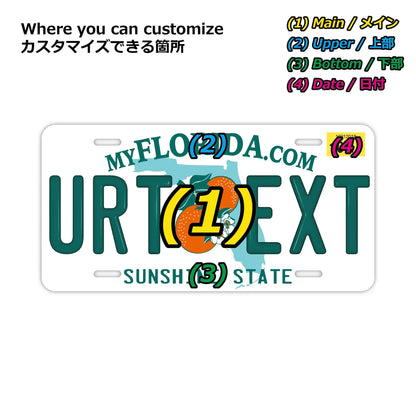 【大・US車用】フロリダ2000's/オリジナルアメリカエンボスナンバープレート おしゃれ表札看板 PL8HERO