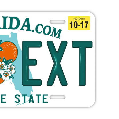 【大・US車用】フロリダ2000's/オリジナルアメリカエンボスナンバープレート おしゃれ表札看板 PL8HERO