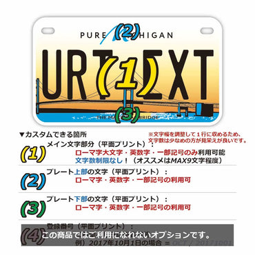 定制车牌标志 [适用于美国中部和美国摩托车] 密歇根州 2014 / 原装美国车牌